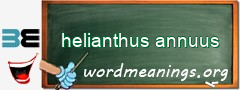 WordMeaning blackboard for helianthus annuus